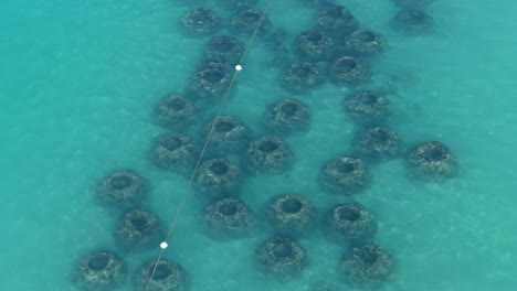 man-made coral reefs supporting marine life at dominicus beach, dominican republic. bird's eye drone view