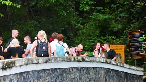 group observes monkey on a scenic bridge