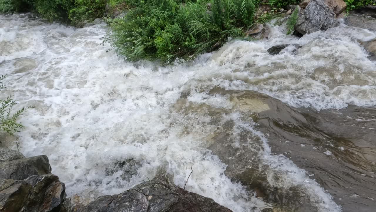 한국 의 비 시즌 에 물 이 빨리 떨어지는 숲 에 있는 산 하천 급류