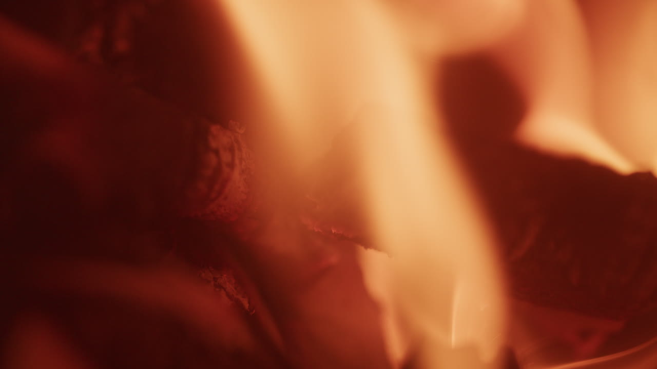 primer plano de una rama en llamas en el suelo de un bosque