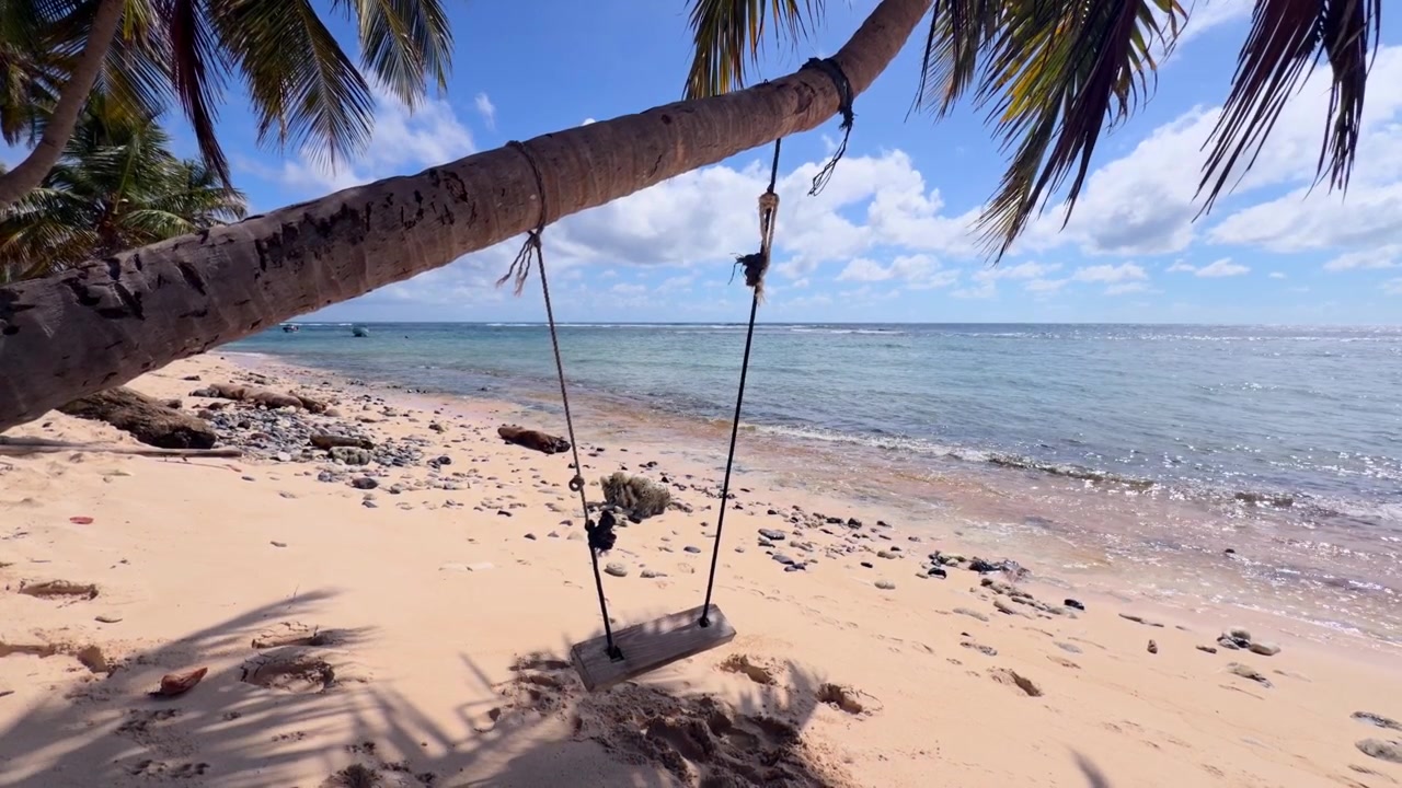 Altalena di legno vuota appesa a una palma inclinata su una spiaggia tropicale sabbiosa con onde oceaniche a Playa Fronton nella Repubblica Dominicana