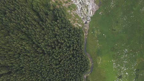 vista de arriba hacia abajo de densos árboles de coníferas en el bosque montañoso de wicklow, irlanda, con una majestuosa cascada que cae en cascada a través del valle - drone aéreo