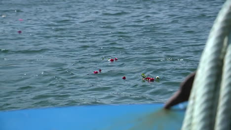 flowers floating on water
