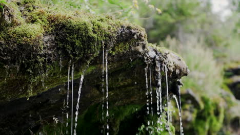 water flowing down by the mossy rock deep in the forest