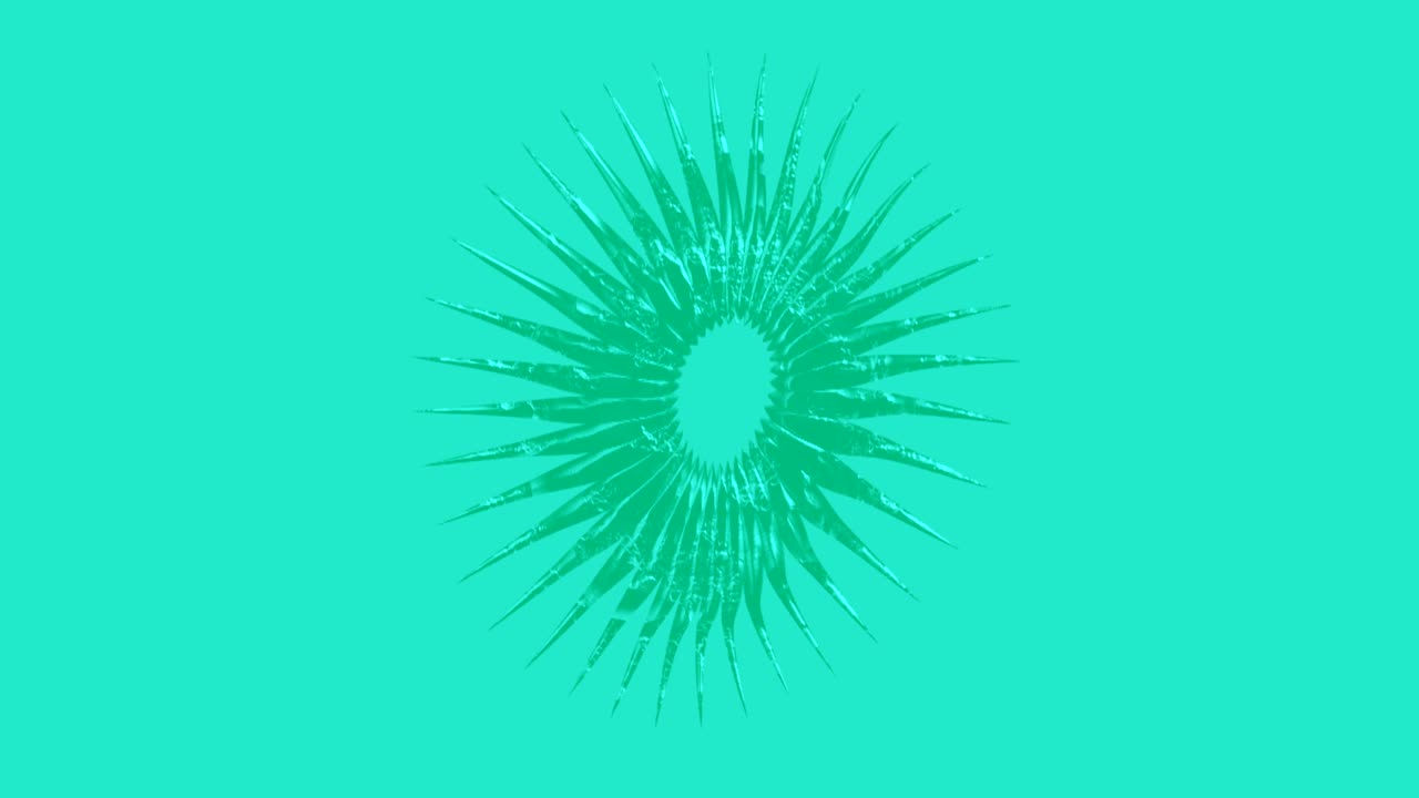 fondo abstracto pulsación flor orgánica pétalo florecimiento 13