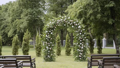 arco natural verde con flores blancas en el parque natural con bancos de madera.