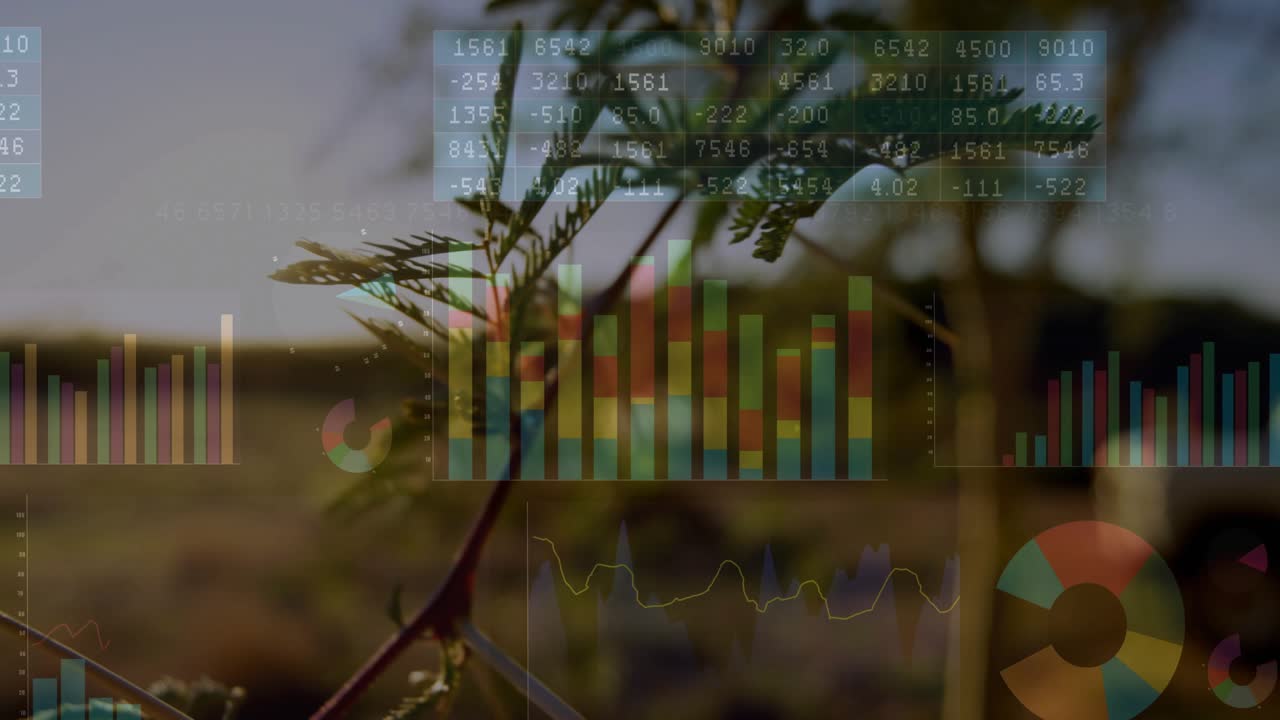 Sunset causing branch swaying with camera panning and graphs updating for data visualization