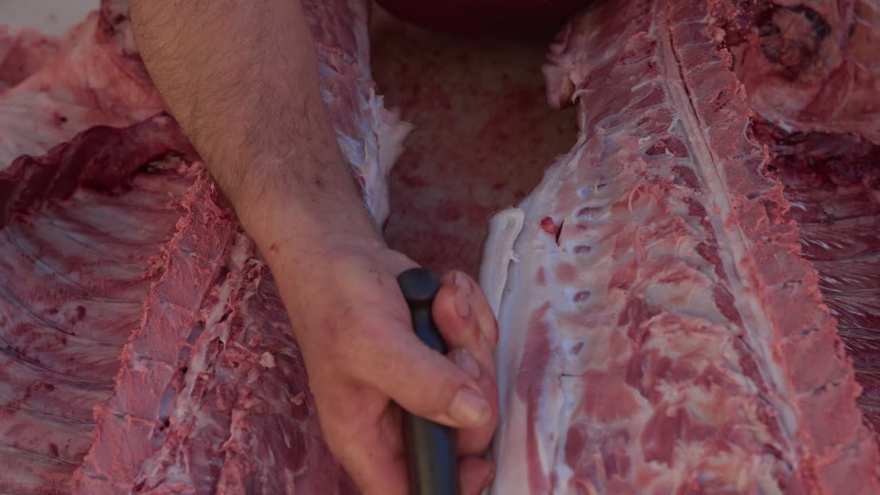 knife slices spine between ribs of halved pig during meat preparation - slowmotion