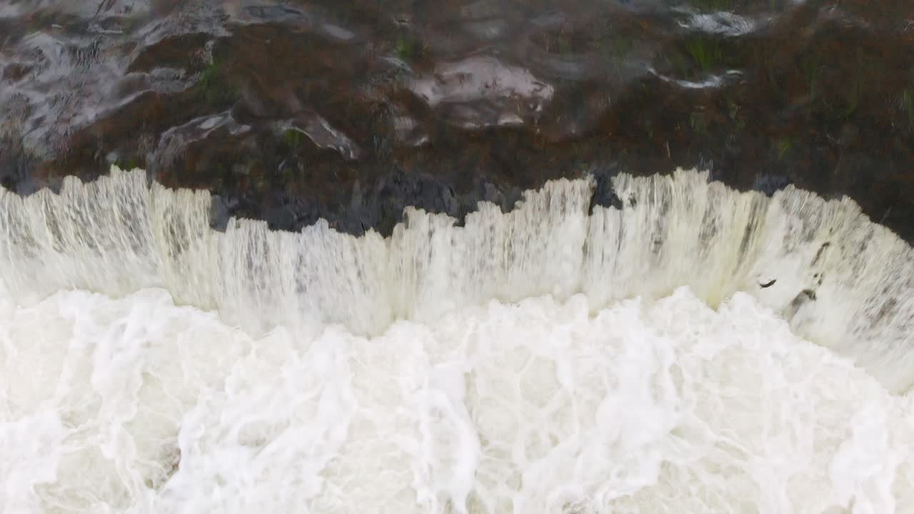 летающая рыба в вента рапид широчайшие водопады воздушное раскрытие