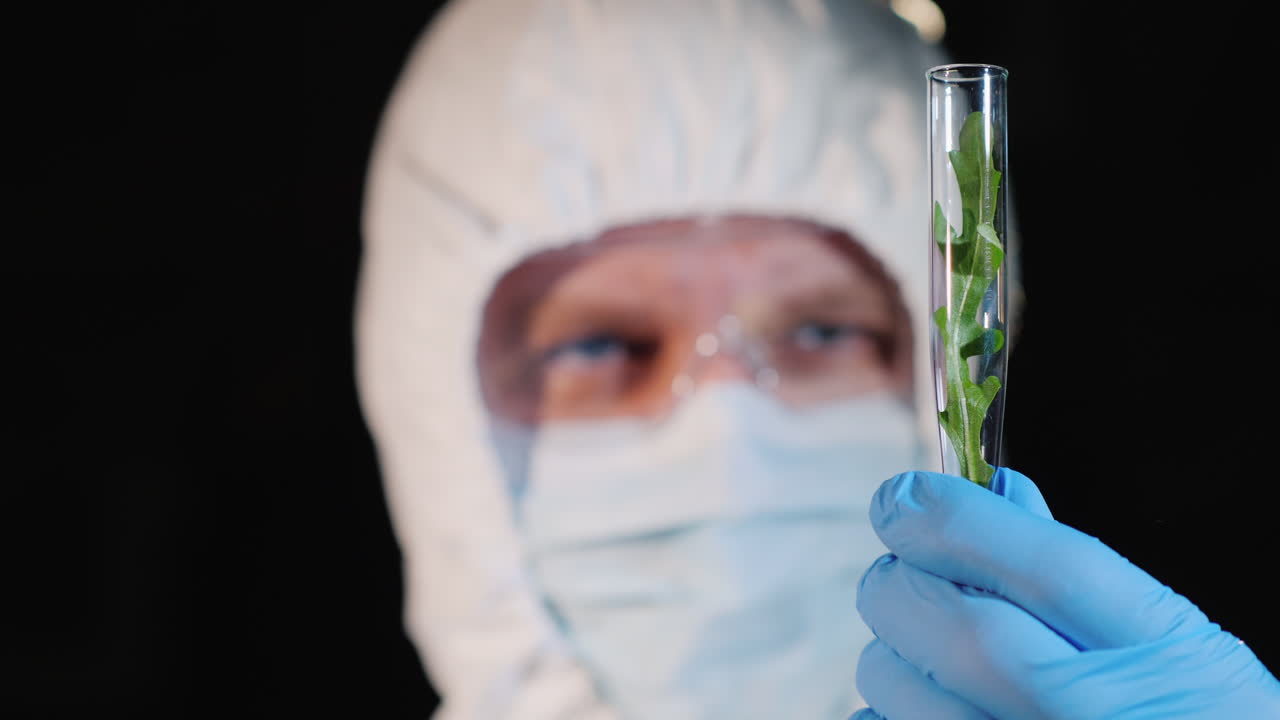 un investigador mirando de cerca un tubo de ensayo con una planta verde