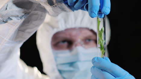 a researcher looking closely at a test tube with a green plant