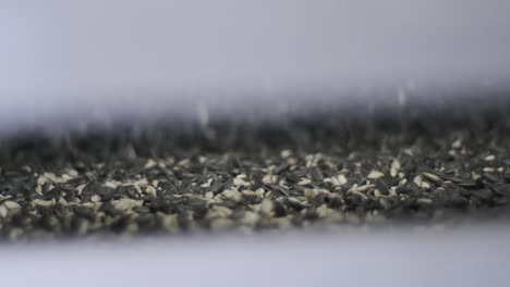 muchas semillas. semillas de girasol máquina de hornear. mover las semillas de gira-sol fritas salen de la máquina. producción de alimentos