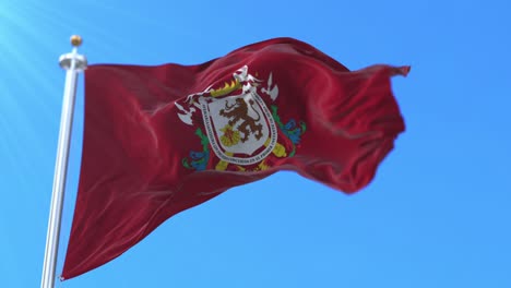 flag of caracas, capital city of venezuela. loop