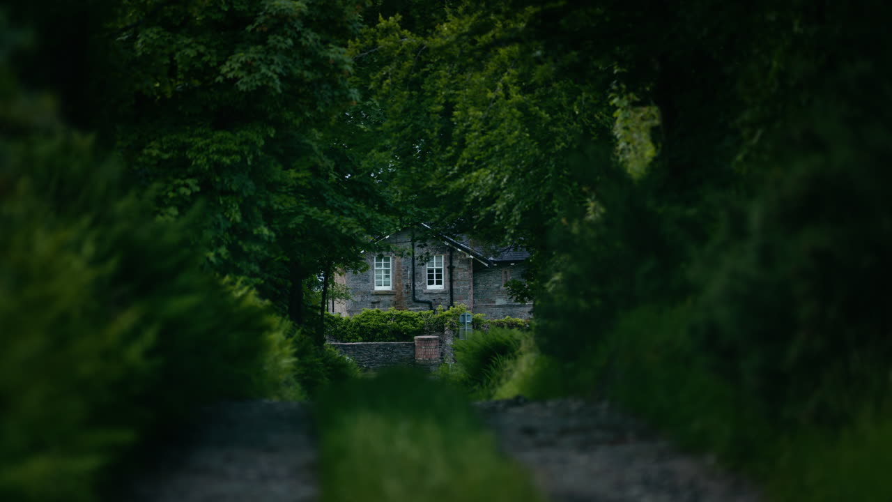 Stone House Hidden in a Lush Forest
