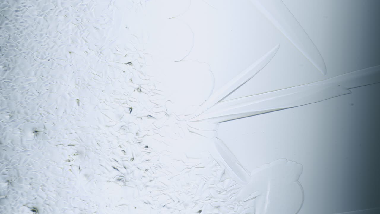 현미경으로 물을 얼리는 얼음 결정 성장