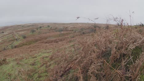 Una-Amplia-Vista-De-Una-Colina-En-Dartmoor,-Reino-Unido-En-Un-Día-De-Invierno