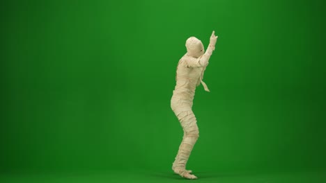 scary mummy wrapped in bandages dances wearing a black hat and sunglasses green screen isolated