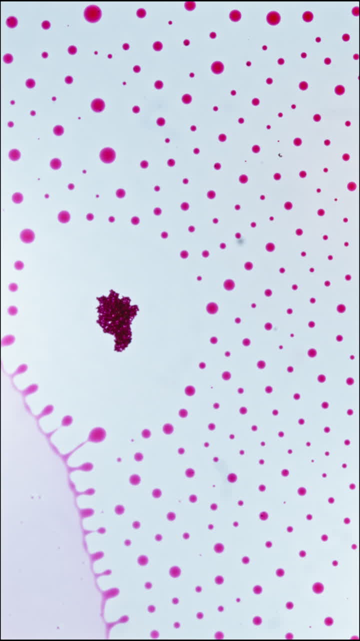 Macro view of colorful liquids mixing, creating unique patterns
