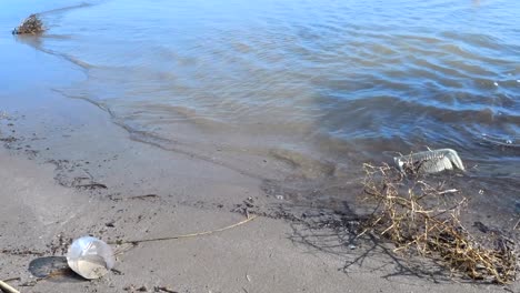 Plastikflaschen,-Die-In-Einer-Flussmündung-Und-An-Einem-Strand-Verstreut-Sind