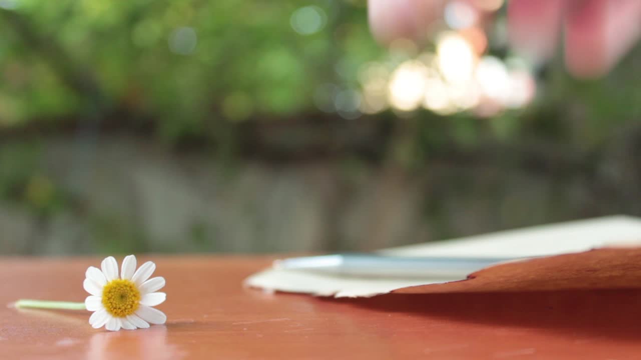 꽃과 함께 로맨틱한 편지를 쓰는 데이지