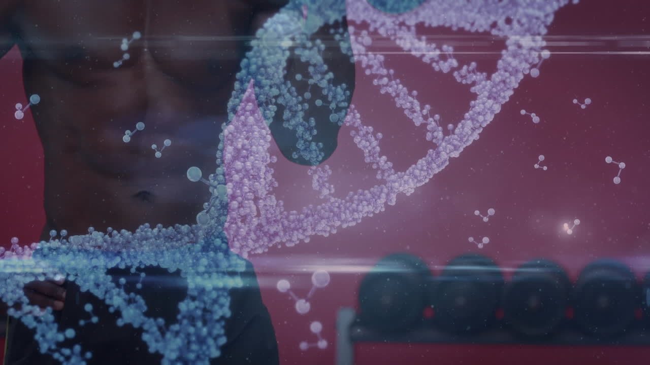 Animation of dna strand over strong man exercising in gym