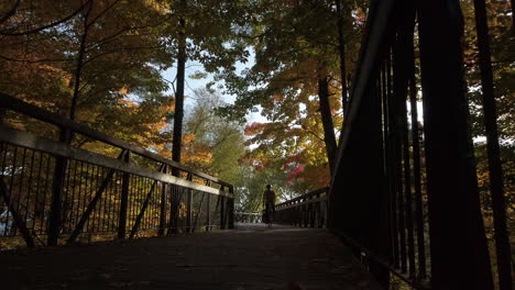 Low-Angle-Aufnahme-Eines-Radfahrers,-Der-Sich-über-Eine-Holzbrücke-In-Ontario-Nähert