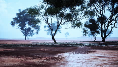diverse tree formations in the african savanna under clear skies at midday