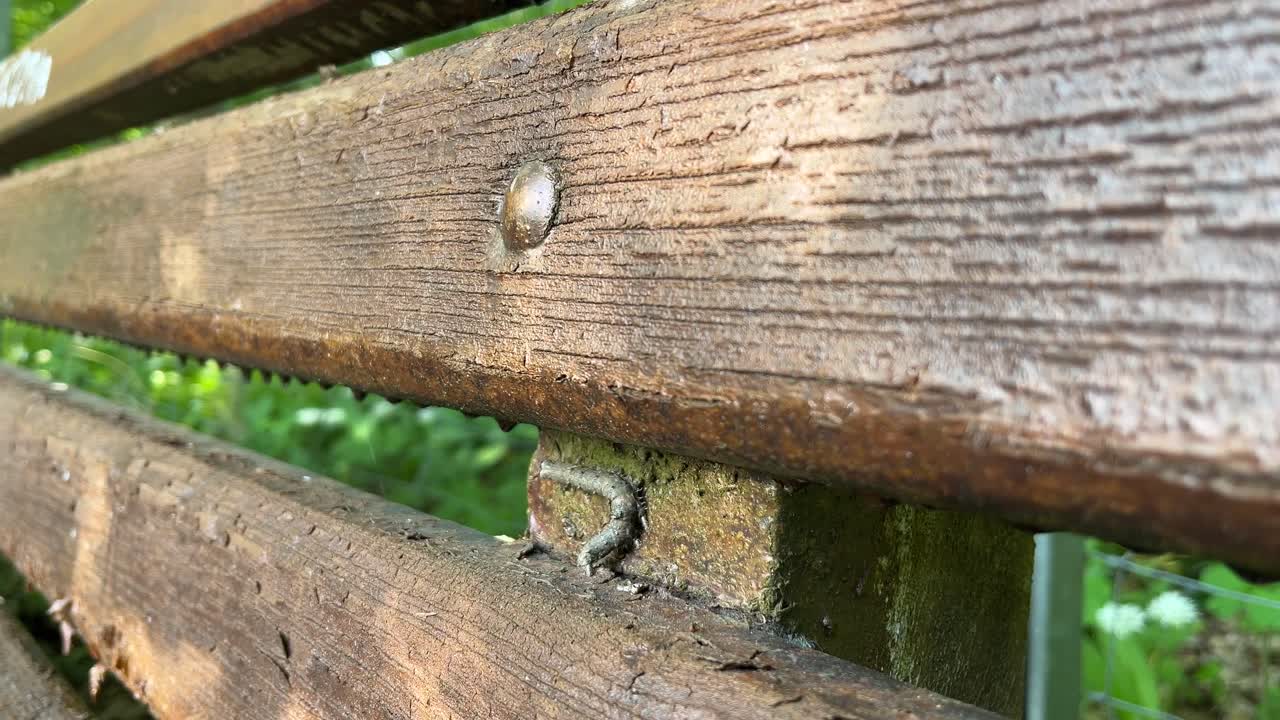 Close up of caterpillar moving around the headbord of a bench, sunny day, 4k