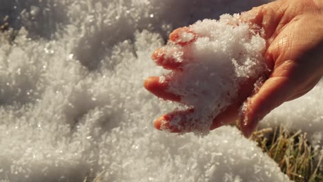 Frauenhand,-Die-Schnee-Hält-Und-Schneeflocken-In-Der-Sonne-Zeigt,-Zeigt-Eine-Gefrorene-Winterlandschaft-In-Zeitlupe-4k