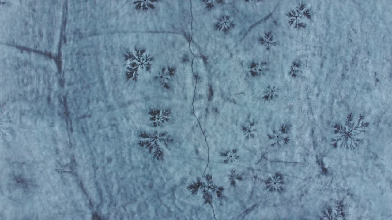vista dall'alto verso il basso della foresta coperta di neve durante l'inverno