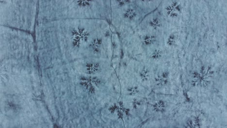 topdown view of snow-covered forest during winter