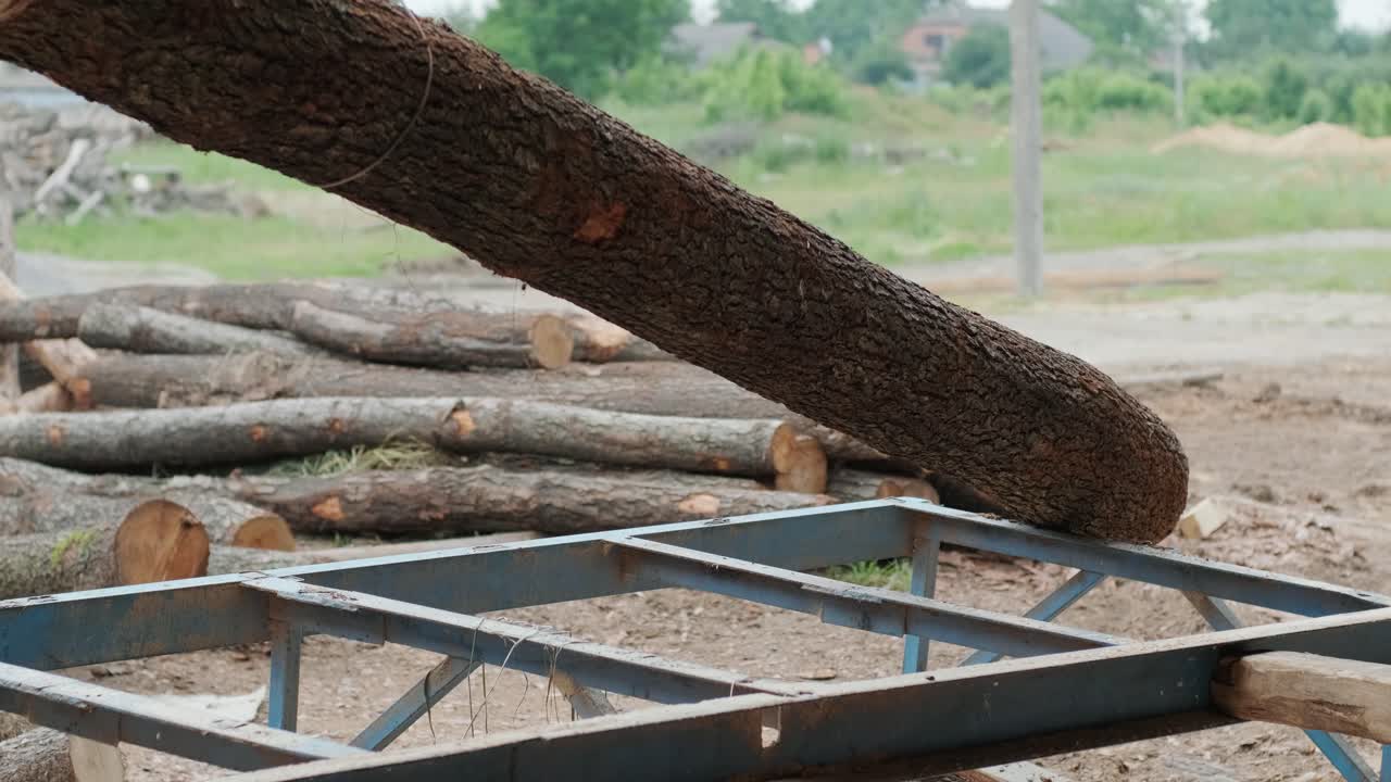 크레인  로더 트랙터 기계에 의해 큰 목재 소나무, 스프루스, 시더 로그를 로딩. sawmill에서 coniferous 목재 배송.