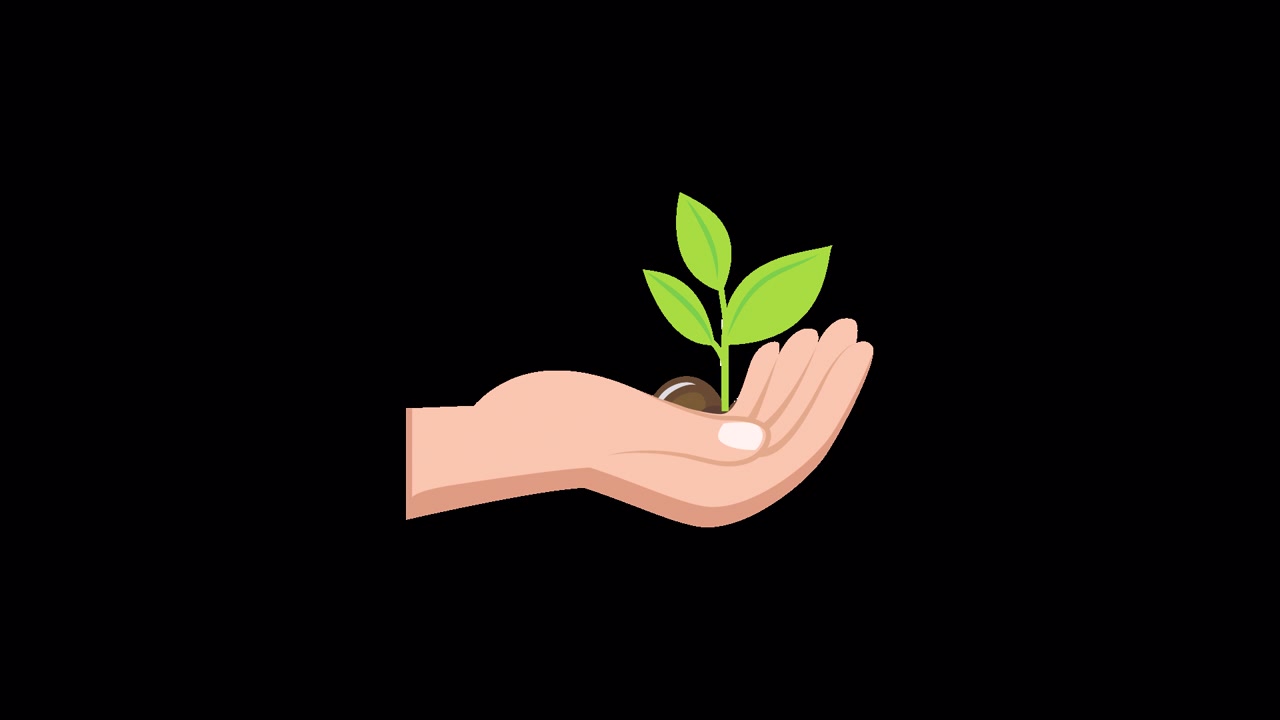 Animated Hand Holding a Growing Plant with a Coin