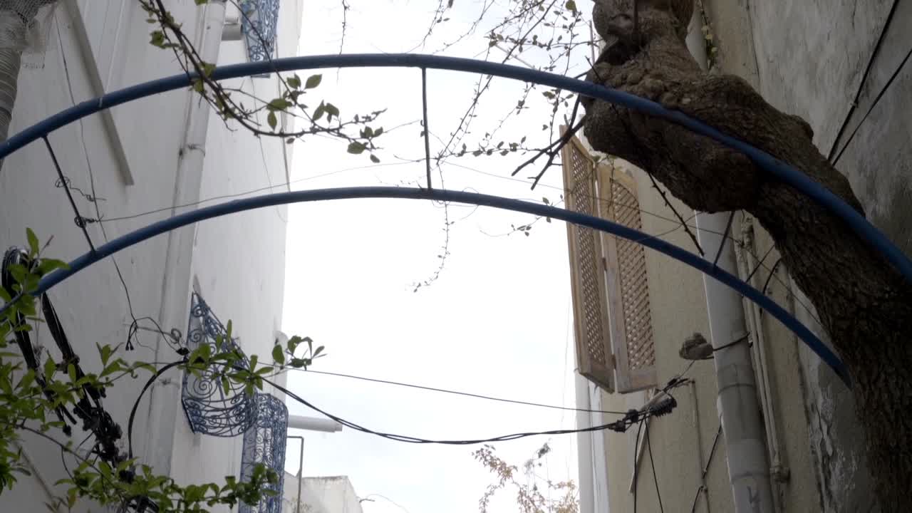 los callejones de la medina hammamet tunisia con las casas con fieltro y puerta en azul