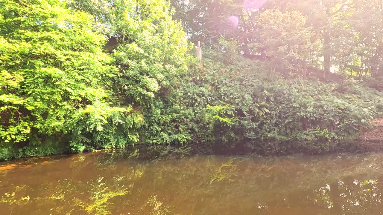 울창한 초록색으로 둘러싸인 조용한 연못