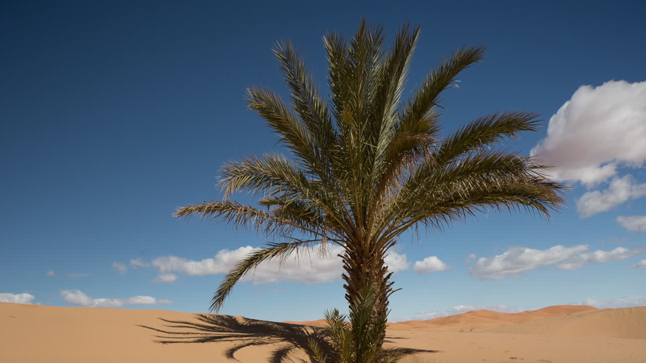 Free stock video - Merzouga sahara desert 07