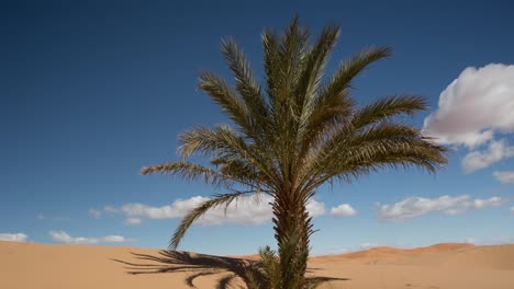merzouga desierto del sahara 07