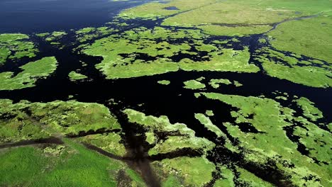 Marshland-along-the-Saint-John's-River-in-Cocoa,-Florida