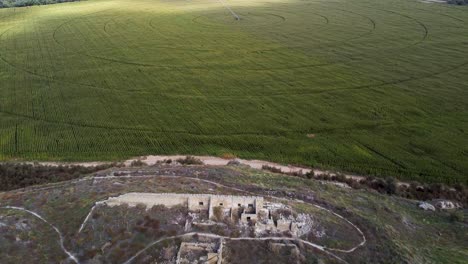 vista aérea del campo agrícola
