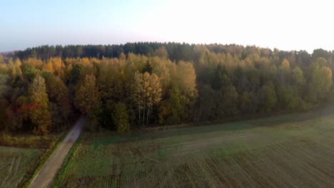 Der-Traktor-Fährt-In-Den-Grünen-Herbstwald.-Luftaufnahmen