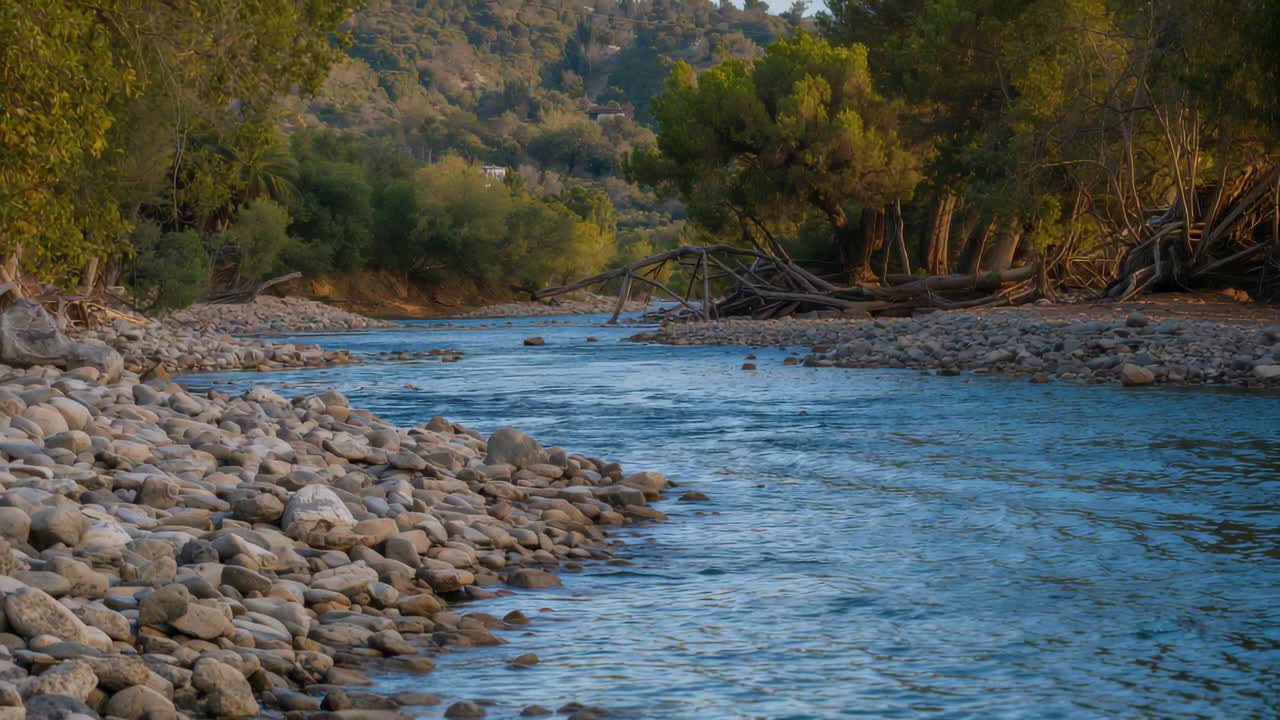 Fiume impetuoso che trasporta increspature e piccole pietre a valle in una valle boscosa, sponda di ciottoli e radici