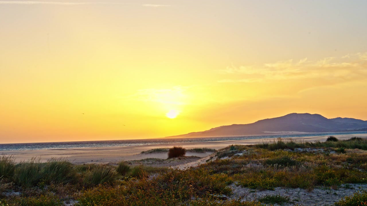 Gylden solnedgang over Los Lances Strand i Tarifa, Spanien. Varmt aftenlys over atlantiske sandklitter og en uendelig kystlinje skaber en fredfyldt og filmisk kystscene.