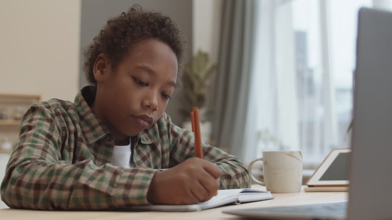 Young Boy Doing Online Homework
