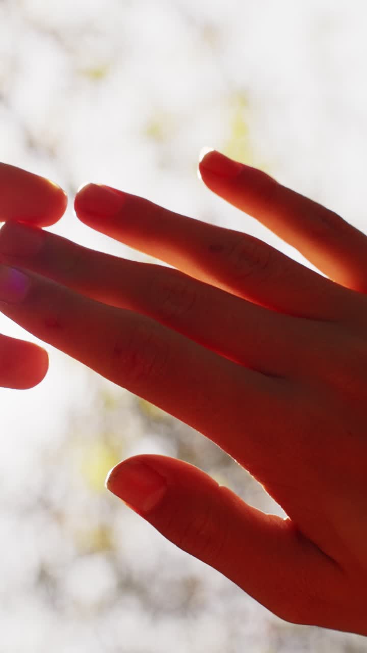 A Beautiful Moment Captured: Glimmering Light Shining Through Hands in Silhouette, Conveying Emotion, Connection, and the Essence of Human Touch