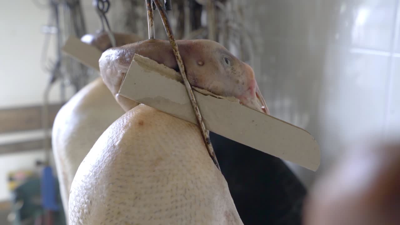 Geese For Roasting Hanging Inside The Kitchen Of A Chinese Restaurant In Guangzhou, China - close up