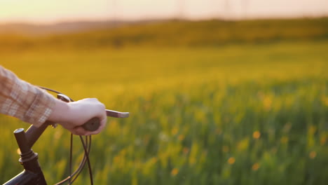 The-Cyclist's-Hands-On-The-Handlebars-Of-The-Bike-Rides-In-A-Picturesque-Place-Against-The-Backdrop-Of-A-Green-Meadow-Or-Field-1