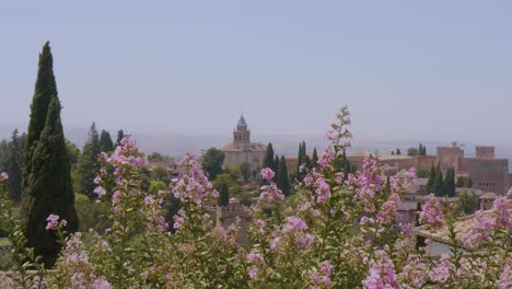 Alhambra,-Granada-Enmarcada-Bellamente-Por-Flores-Rosas