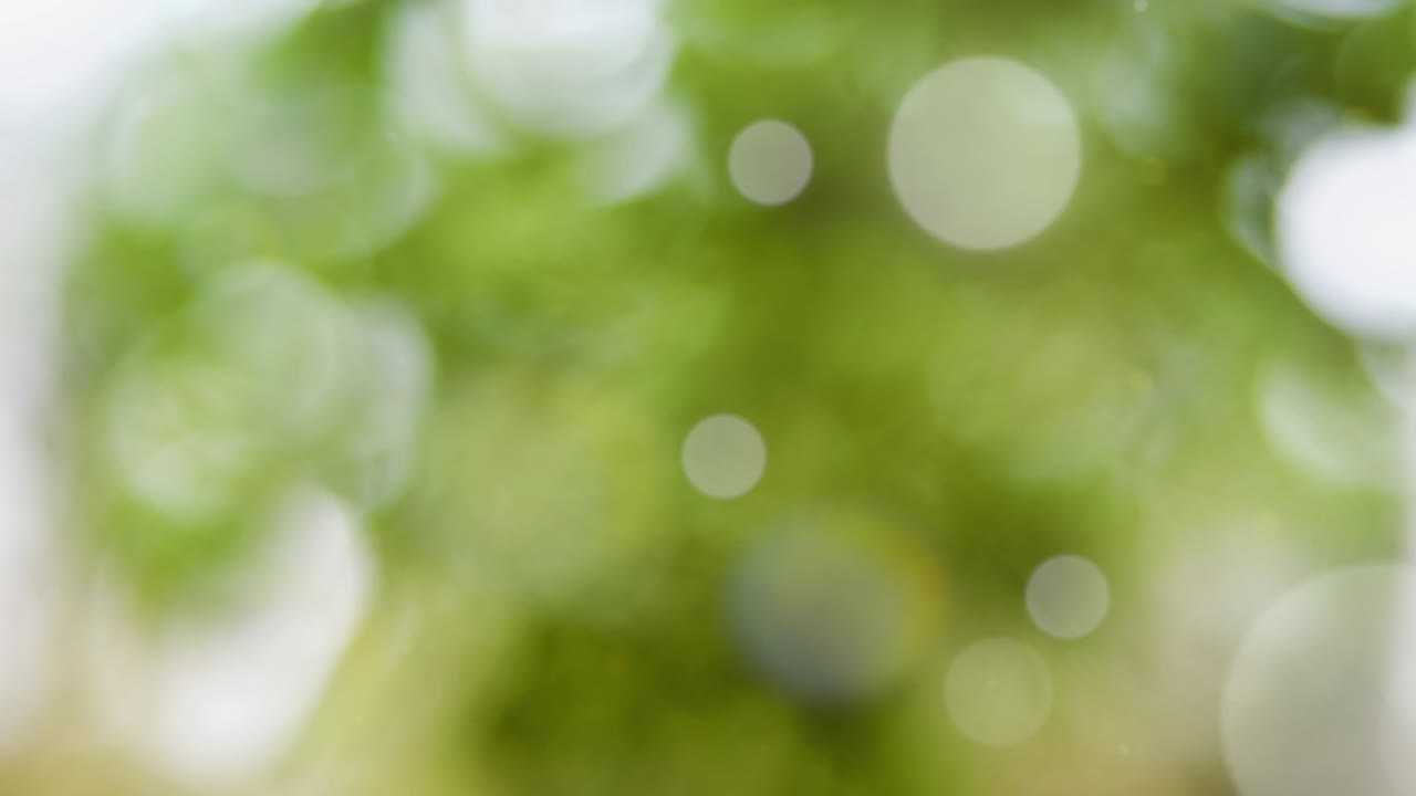 보케와 함께 추상적인 여름 배경