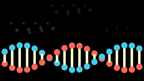 superposición alfa de la estructura del adn de 4k - en bucle