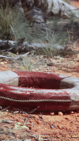 an old life preserver in the desert